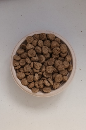 Preview: Pik Dog SENIOR • LIGHT